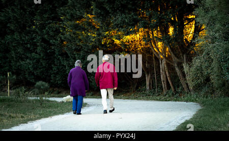 Eine seniour Paar Spaziergänge im Park mit einigen warmen Licht in den Bäumen. Stockfoto