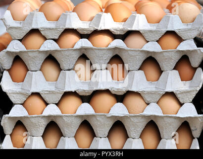 Frische Eier im Karton im Supermarkt Stockfoto