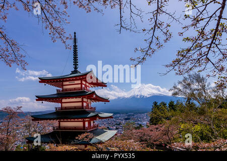 Chureito Pagode, Fujiyoshida, einer der berühmtesten Blick auf den Berg Fuji und Japan mit Kirschblüten bekannt als Sakura Stockfoto