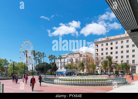 Plaza de la Marina im Hafen, Malaga, Costa del Sol, Andalusien, Spanien Stockfoto