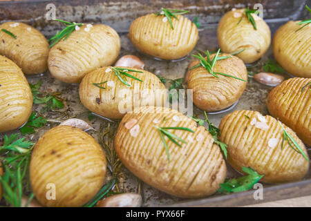 Rustikale Hasselback Kartoffeln mit Kräutern, Knoblauch und Salz, vegetarische gutes Essen Stockfoto