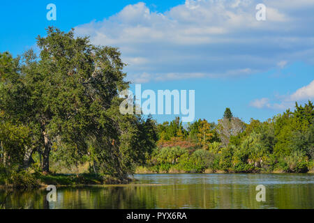 Schöne Aussicht am See Seminole, Seminole, Florida Stockfoto