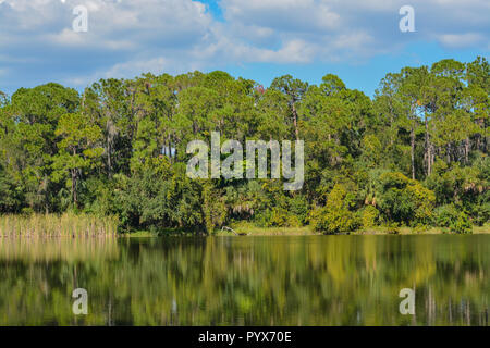 Schöne Aussicht am See Seminole, Seminole, Florida Stockfoto