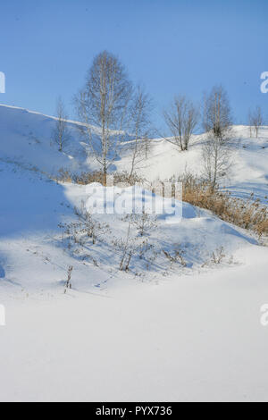 Schöne Winterlandschaft mit Birke auf dem Hügel Stockfoto