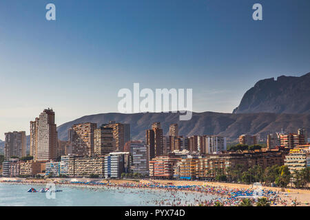 Blick auf Stadtzentrum von Benidorm in Spanien am Meer Stockfoto