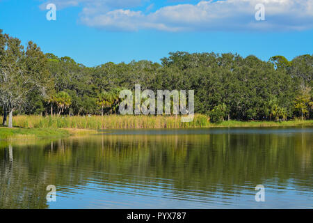 Schöne Aussicht am See Seminole, Seminole, Florida Stockfoto