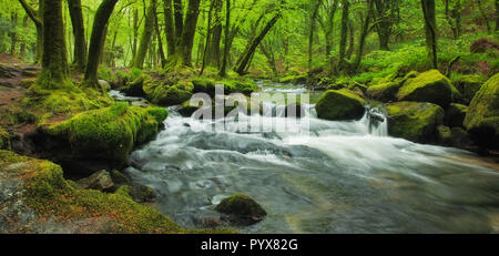 Golitha Falls, Bodmin Moor, Cornwall, England Stockfoto