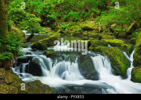 Golitha Falls, Bodmin Moor, Cornwall, England Stockfoto