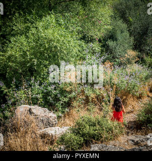 Mädchen im roten Kleid stehen im Feld von Pflanzen und Felsen umgeben Stockfoto