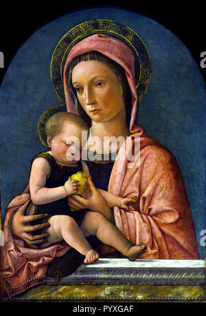 Madonna col Bambino - Madonna und Kind 1460-65 Giovanni Bellini (1430 - 1516) 15.-16. Jahrhundert, Italien, Italienisch. Stockfoto