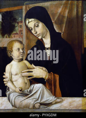 Madonna und Kind Cincani - 1480-90 Bartolomeo Montagna (1450 - 1523) 15.-16. Jahrhundert, Italien, Italienisch. 15. und 16. Jahrhundert, Italien, Italienisch. Stockfoto