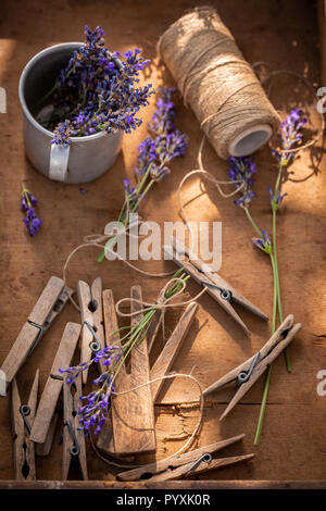Homegrown und frischem Lavendel Vorbereitung home Trocknung Stockfoto