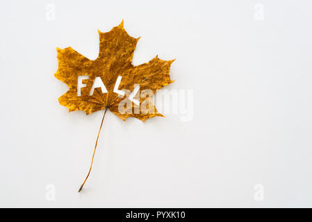 Big maple leaf mit geschnittenen aus Wort fallen auf weißem Hintergrund Stockfoto