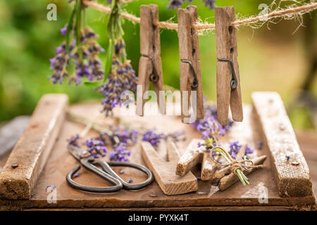 Homegrown und frischem Lavendel hängen an einer Leitung mit Haken Stockfoto