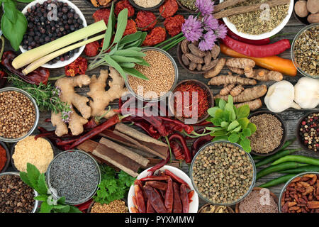 Heilkräuter und Gewürze frische und getrocknete Lebensmittel Gewürze aus rustikalem Holz Hintergrund. Ansicht von oben. Stockfoto