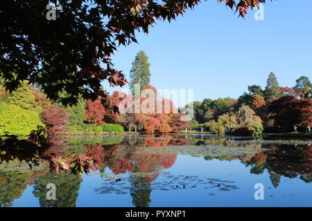 Die herbstlichen Bäume Bäume in See am Sheffield Park wider Stockfoto