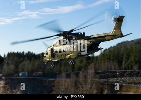 Eine dänische AW 101 - Merlin Helikopter fliegt overt Camp Fremo während der Übung TRIDENT PUNKT Fremo, Norwegen, am 28. Oktober 2018. Foto: MCpl Pat Blanchard Fotograf, 2 Div CA det Saint-Jean SJ 04-2018 -0350-037 Un hélicoptère AW 101 - Merlin vole au-dessus du Camp Fremo Durant l'exercice TRIDENT STELLE à Fremo, Norvège, le 28 octobre 2018. Foto: MCpl Pat Blanchard Fotograf, 2 Div CA det Saint-Jean SJ 04-2018 -0350-037 Stockfoto