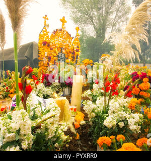 Blumen und Kerzen schmücken ein Grab am Tag der Toten in Tzintzuntzan, Michoacán, Mexiko. Stockfoto