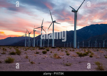 Windmühlen bei Sonnenuntergang Palm Springs Stockfoto