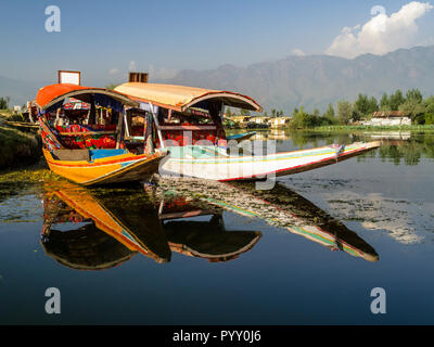 Komfortable shikaras sind bekannt für eine entspannte bootride am Dal Lake Stockfoto