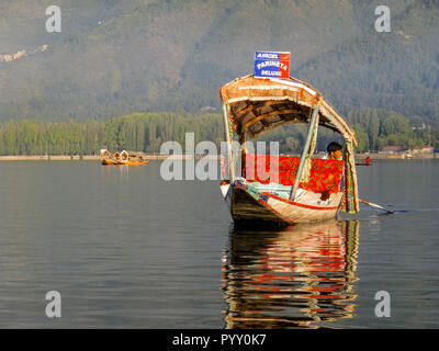 Komfortable shikaras sind bekannt für eine entspannte bootride am Dal Lake Stockfoto