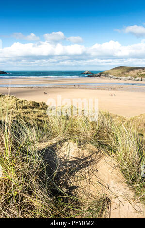 Ammophila marram Gras wachsen auf dem Sand dune-System mit Blick auf Crantock Beach in Newquay in Cornwall. Stockfoto