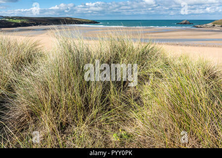 Ein Blick über Crantock Beach von der Oberseite der Sanddüne System in Newquay in Cornwall. Stockfoto