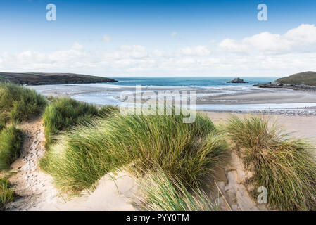 Ammophila marram Gras wachsen auf dem Sand dune-System mit Blick auf Crantock Beach in Newquay in Cornwall. Stockfoto