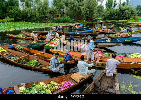 Die "Floating Market", einen gemüsemarkt am Dal Lake, wo Verkäufer Gemüse zu verkaufen von shikara shikara Stockfoto