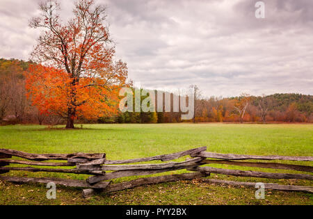 Herbst Laub fügt Farbtupfern in Cades Cove, Nov. 2, 2017, Great Smoky Mountains National Park in Tennessee. Stockfoto