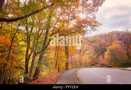 Herbst Laub fügt Farbtupfern in Cades Cove, Nov. 2, 2017, Great Smoky Mountains National Park in Tennessee. Stockfoto