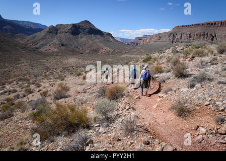 Wanderer durchqueren die Wüstenstrecke im Surprise Valley auf der Nordseite des Grand Canyon. Stockfoto