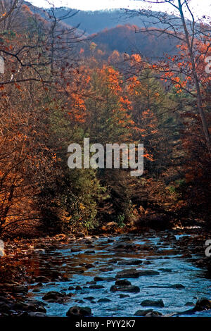 Blätter Farbe ändern am kleinen Fluss in der Great Smokey Mountains in Tennessee. Stockfoto