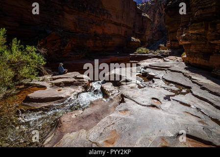 Wanderer im Deer Creek Canyon, einem Canyon am Grand Canyon, Grand Canyon National Park, Arizona, USA. Stockfoto