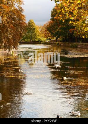 Spiegelungen der Bäume im Herbst in den Graben um die Bishops Palace, Wochen Somerset Stockfoto