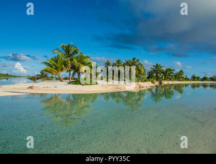 Palmen gesäumten weißen Sandstrand im türkisfarbenen Wasser von Tikehau, Tuamotu Archipel, Französisch Polynesien Stockfoto