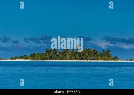 Palmen gesäumten weißen Sandstrand im türkisfarbenen Wasser von Tikehau, Tuamotu Archipel, Französisch Polynesien Stockfoto