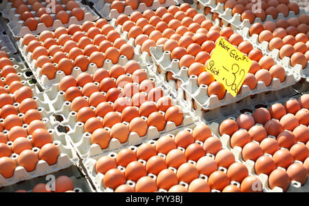 Frische braune Eier in Eierkartons mit Preis-Tag am Marktstand, Deutschland Stockfoto