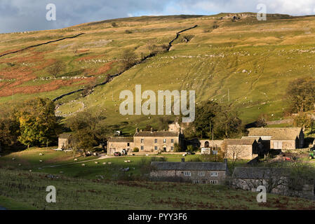 Herbst Licht auf die Landwirtschaft Weiler Yockenthwaite, Langstrothdale, Yorkshire Dales National Park, mit Schafe auf den Hügeln. Stockfoto