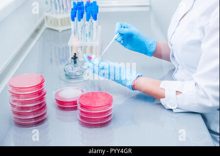 Weibliche medizinische oder wissenschaftliche Labor Forscher führt Tests durch. Close Up, selektiver Fokus Stockfoto