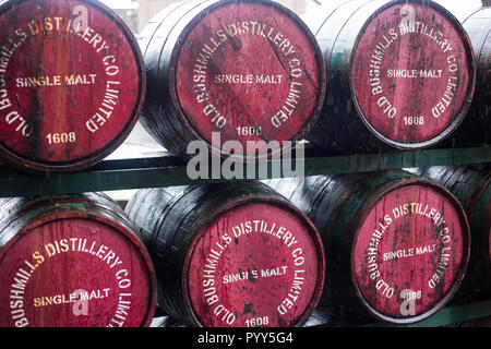 Old Bushmills Distillery whiskey Fässer gestapelt Stockfoto