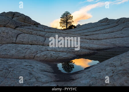 White Pocket-Arizona Stockfoto