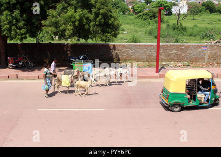 Die Menschen mit Eseln um die Straße auf dem Weg zum Taj Mahal in Agra. In Indien genommen, August 2018. Stockfoto