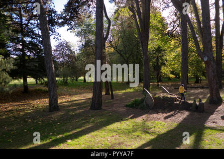 Kinder spielen auf Dragon in Bute Park mit Sun flare im Herbst Cardiff Wales Stockfoto