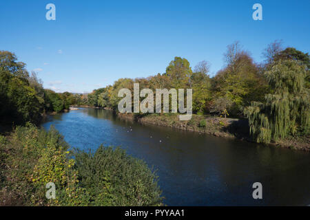 Blick auf den Fluss Taff in Bute Park Cardiff Stockfoto