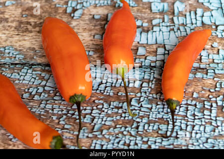 Ansicht der Peruanischen gelb hot pepper Stockfoto