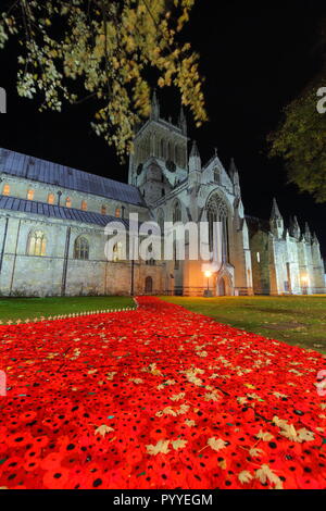 58000 Gestrickte Poppy Anzeige an Selby Abbey, North Yorkshire. Stockfoto