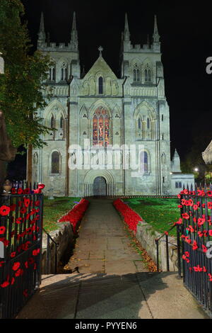 58000 Gestrickte Poppy Anzeige an Selby Abbey, North Yorkshire. Stockfoto