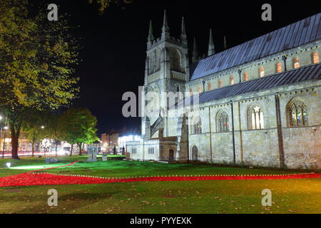 58000 Gestrickte Poppy Anzeige an Selby Abbey, North Yorkshire. Stockfoto