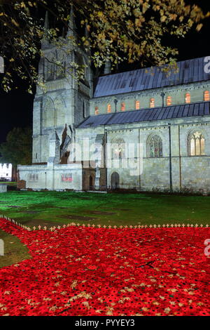 58000 Gestrickte Poppy Anzeige an Selby Abbey, North Yorkshire. Stockfoto